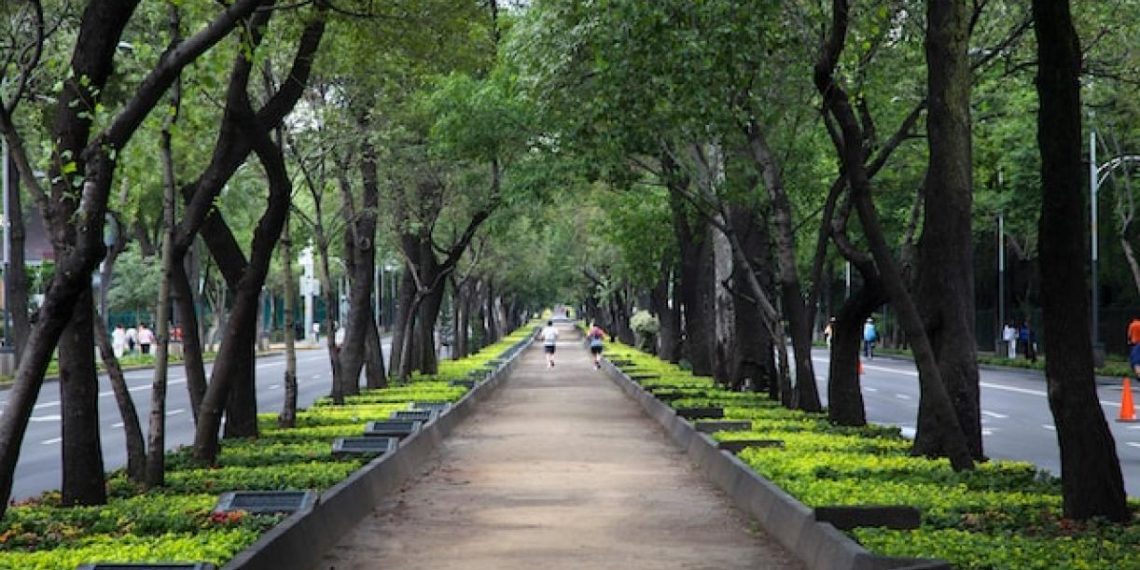 10-Year Anniversary of Public Transportation from WRI and FedEx